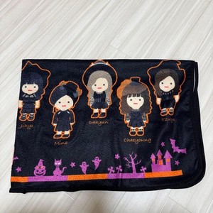 Twice Blanket | eBay