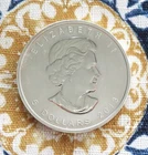 2013 Maple Leaf - Mint Canadian Silver 'Five Dollar' Coin - 1oz of .999 Fine