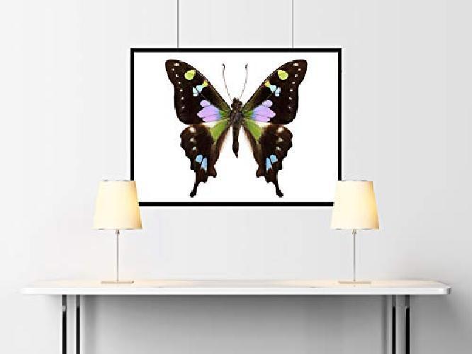 Arcos 8624 5   Jig saw bliss.5 **