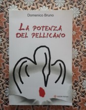 "LA POTENZA DEL PELLICANO"- Domenico Bruno, 2013