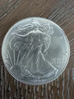 2025 W American Silver Eagle 1 troy ounce .999 fine silver coin