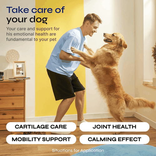 Glucosamine for Dogs Hemp Joint SupGlucosamine for Dogs Hemp Joint Supplement - Picture 4 of 7