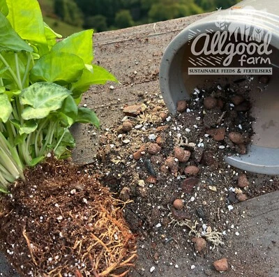 ALLGOOD FARM Syngonium & Alocasia Expert Potting Soil | Peat Free | Bioactive Soil | 1L - 15L