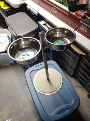 Adjustable Double Bowl Dog Diner