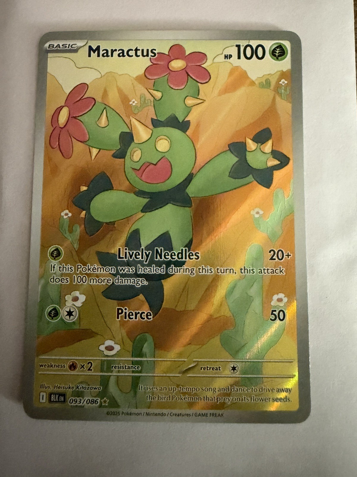 Maractus - 093/086 - Illustration Rare - Black Bolt - Pokemon Card - NM/M