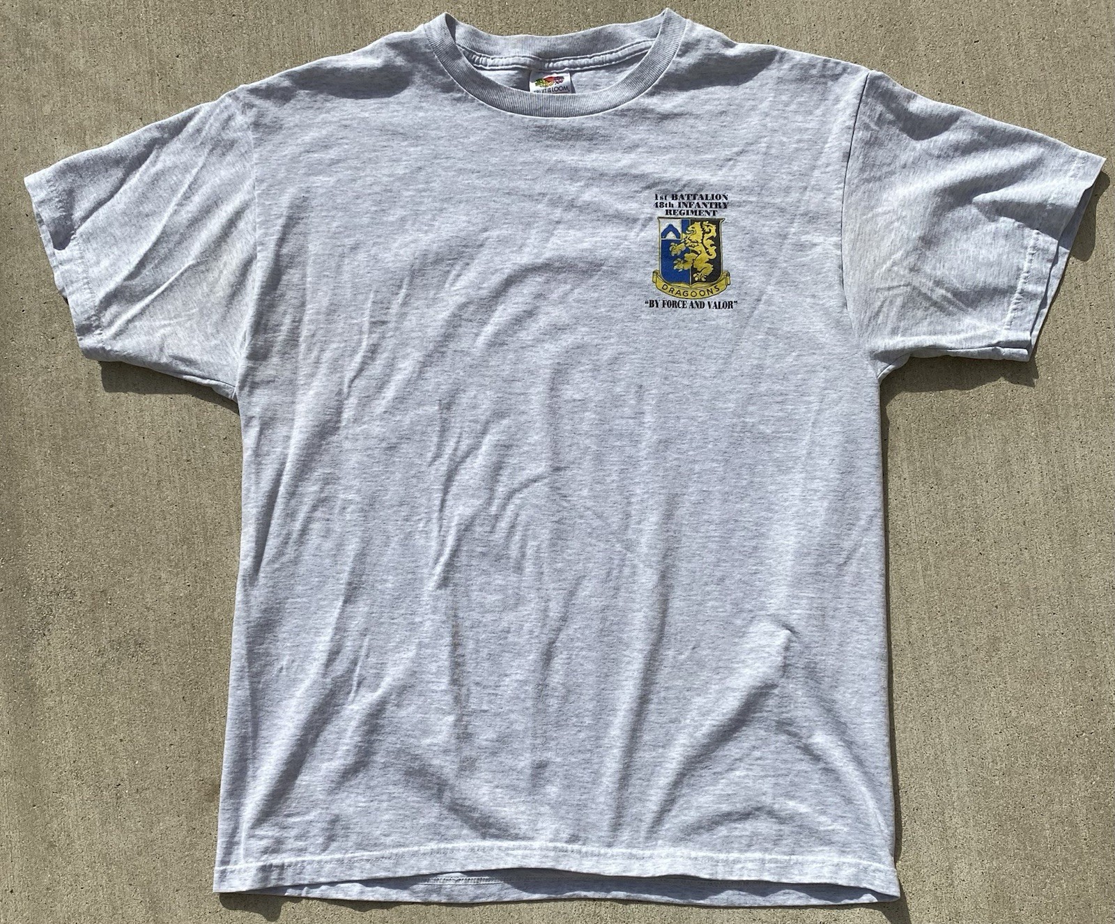 Dragoons Basic Combat Training Charlie War Pigs T… - image 16