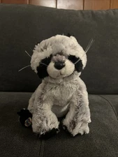 Ganz Webkinz Raccoon Plush Stuffed Animal No Code Retired