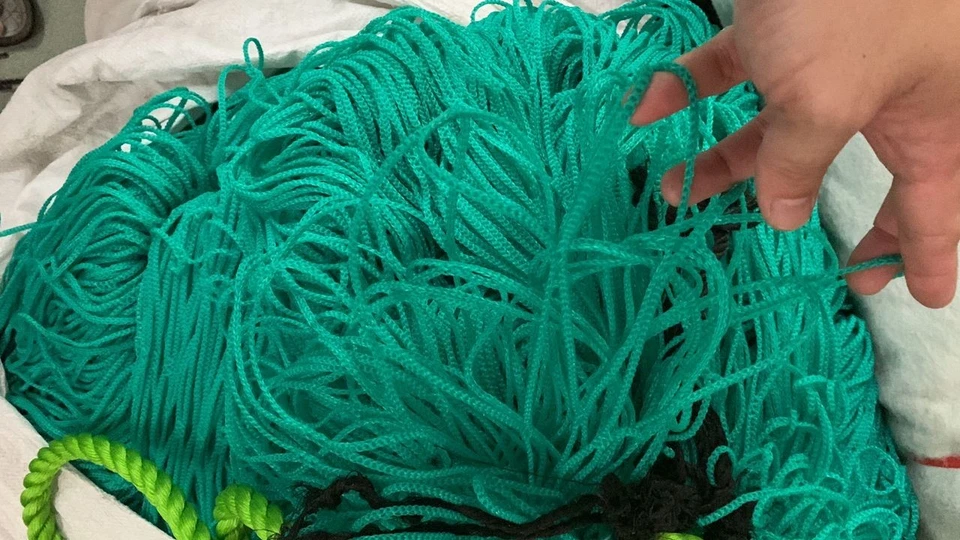 Multiple Netting - Image 2 of 4