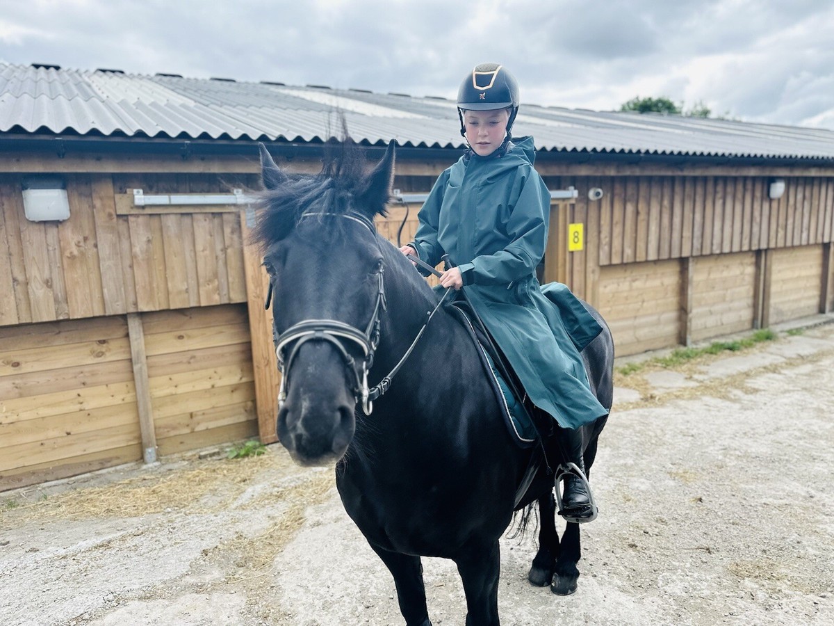 Manteau De Pluie équin Equine Stay Dry - Taille Adulte L (12-14