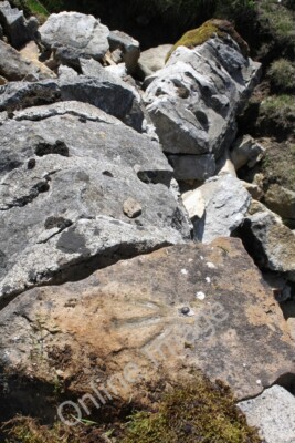 Photo 6x4 Benchmark on partly collapsed bridge parapet Hardraw Ordnance S c2011