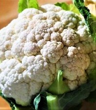 Self Blanching Cauliflower Seeds 200+ SEEDS  NON-GMO --BUY 4 ITEMS FREE SHIPPING