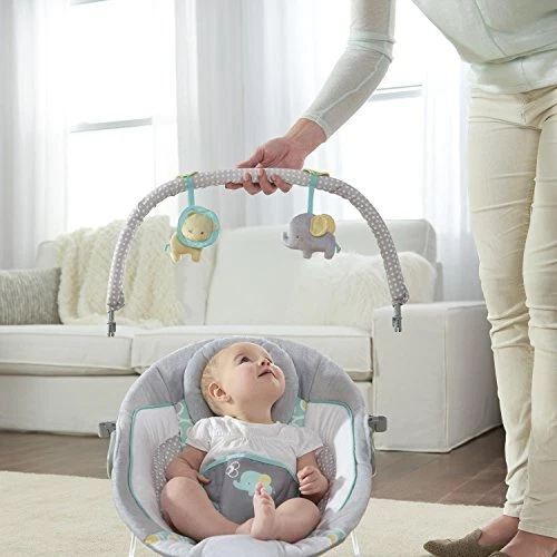 Soothing Baby Bouncer Chair with Soothing Vibrating Infant Seat