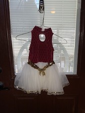 A Wish Come True StyleV591 Young Hearts Extra Small Child Red Gold Dance Costume