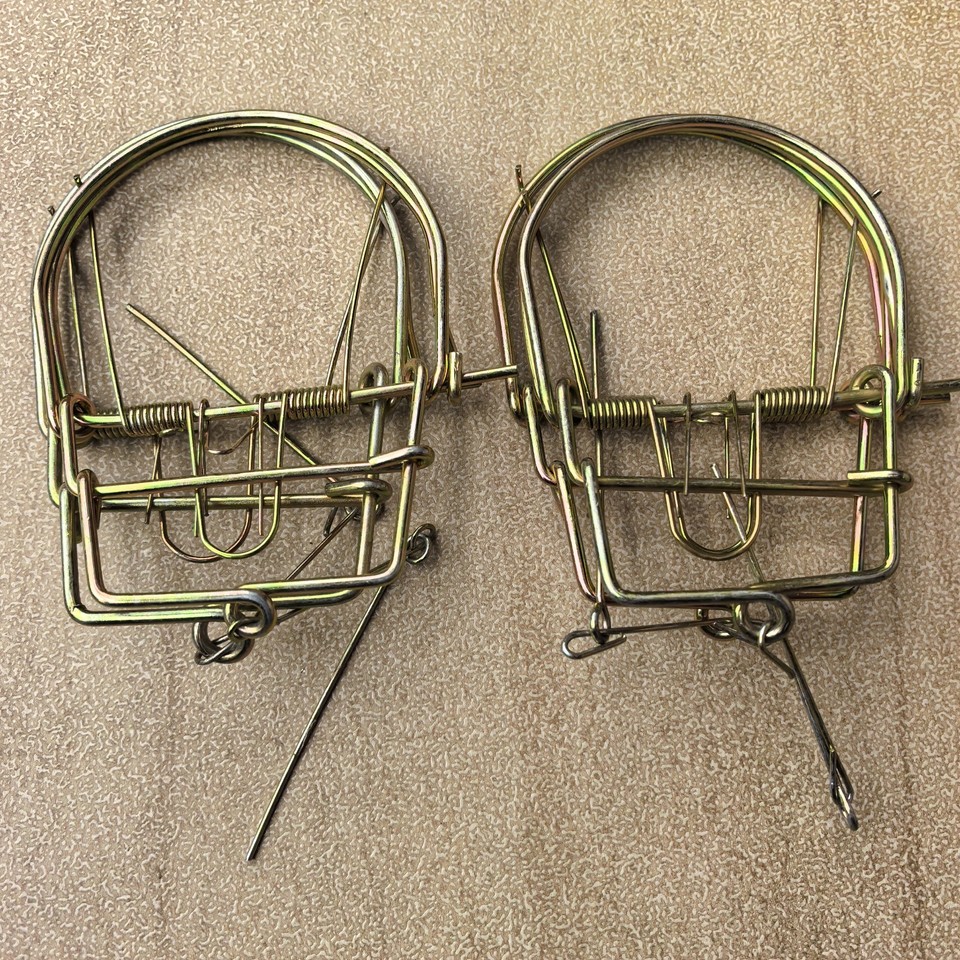 Advanced Spring Trap 4Pcs New Spring Traps Raccoon Coyote Bobcat Fox Trapping Rat Mouse | eBay