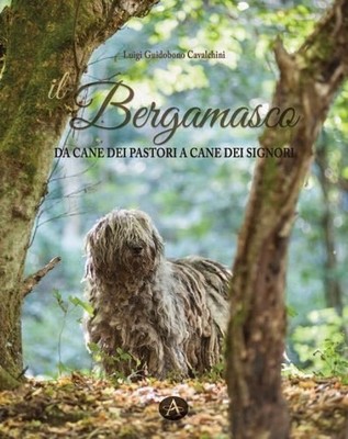 Neues Buch - Guidobono Cavalchini Luigi - Il Bergamasco. Von Schäferhund A 