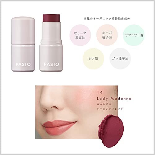 Fasio Multi Face Stick – All-in-One Make-up Stift 4g | Farbe 14 Lady Madonna | Für Lippen, Wangen & Augen | Praktischer Multifunktionsstift