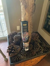 Re-Design with Prima CARAVANS Transfer