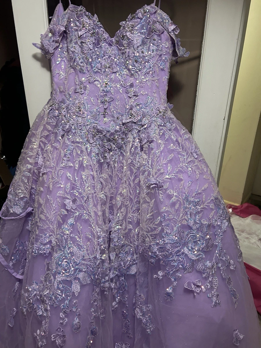 open lace back dress Purple & Black Plus Size Ballroom Dress