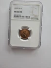 1937 D MS66 RD LINCOLN WHEAT PENNY/CENT GRADED NGC 1C S MINT COPPER COIN