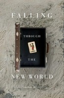 Falling Through The New World | Cynthia Reeves | Taschenbuch | Englisch | 2024
