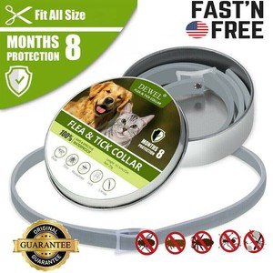 diamond dog accessories