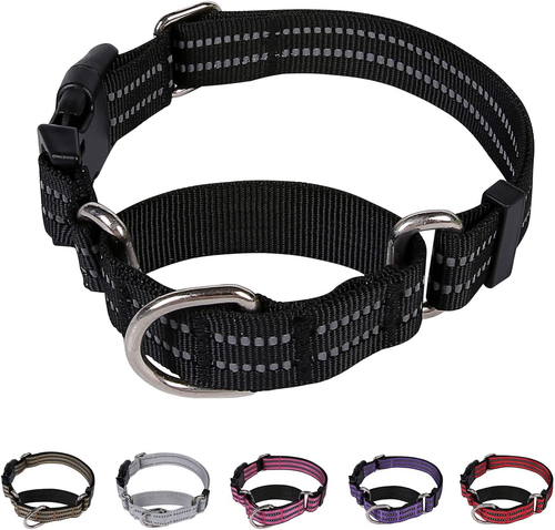 ebay martingale dog collars