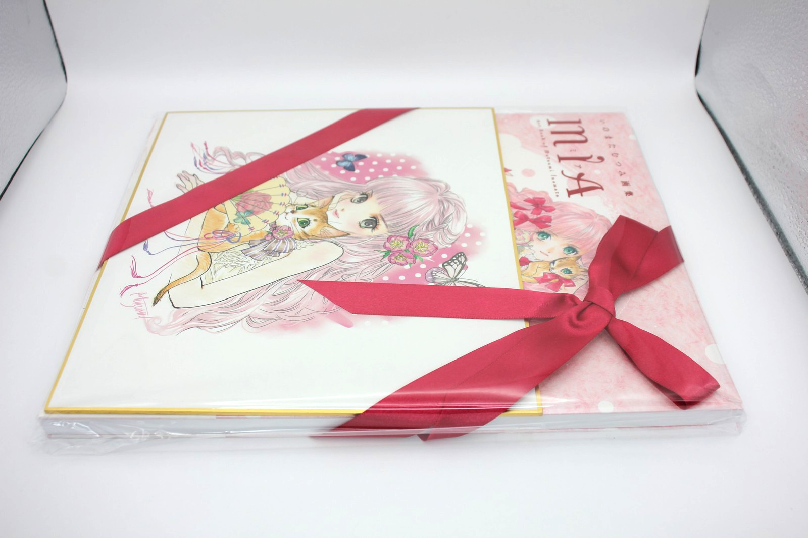 Libro d'arte Mutsumi Inomata "MIA" con scheda illustrativa - Edizione limitat... foto 5