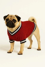 Knitted Red Dog Sweater with Striped Trim