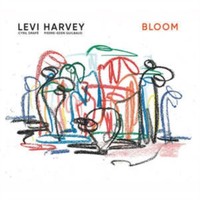 Harvey Levi - Bloom - Vinyl Record Lp - G4Z