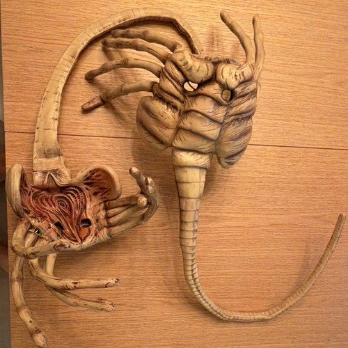 Aliens Face hugger masks Set of 2 - Romulus promo