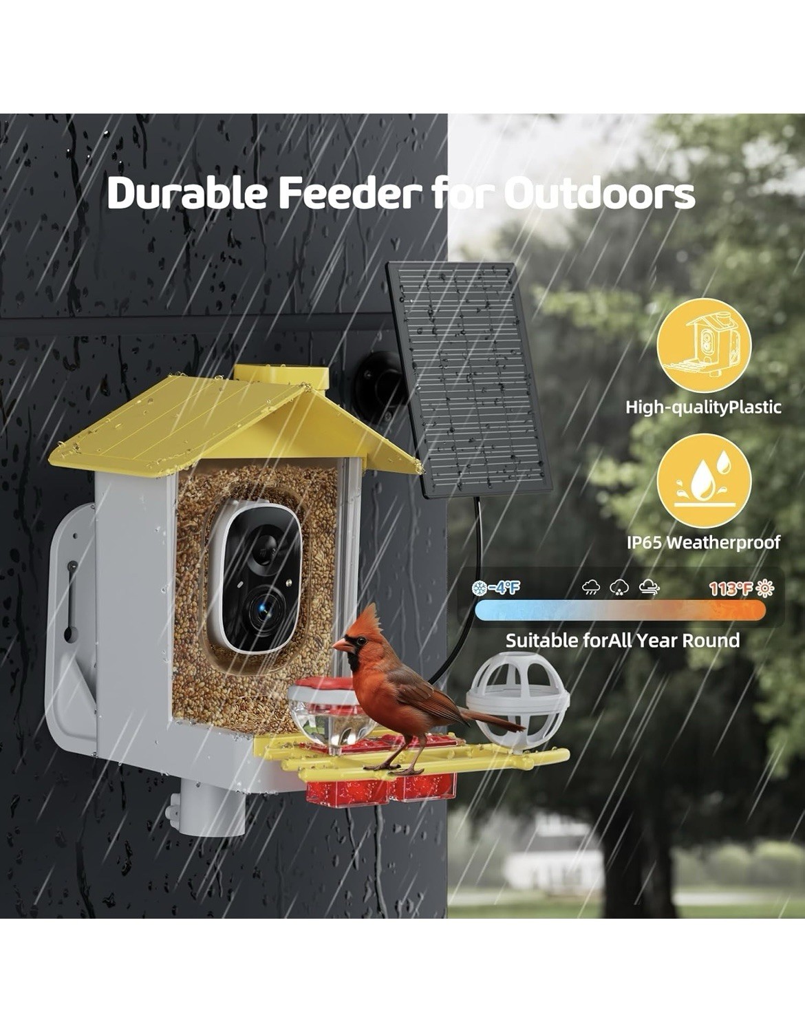 Bird Feeder with Camera 2K HD AI Smart Identify BirdSpecies Solar Panel Outdoor