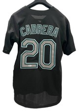 2012 World Series Predictions with a Cardboard Crystal Ball 20