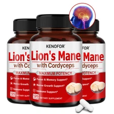 Lion's Mane Mushroom Cordyceps Sinensis Extract-brain and Immune System Enhancer