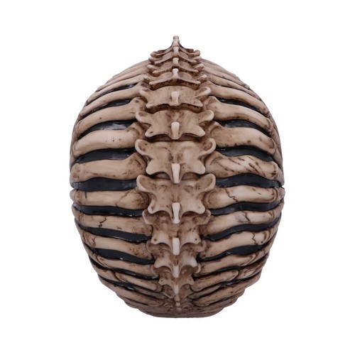 SPINENKOPF SCHÄDEL ORNAMENT FIGUR 18,5 cm JAMES RYMAN NEMESIS JETZT NEU IM BOX - Bild 4 von 5