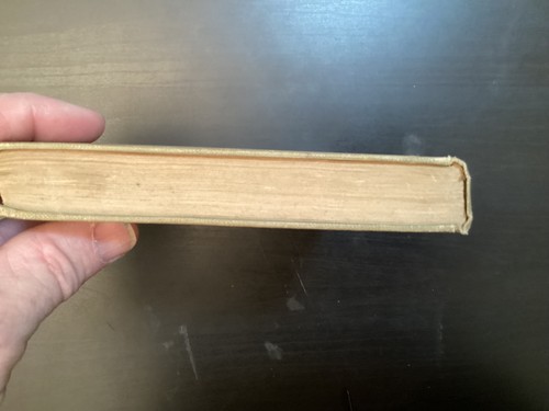Chicago and Its Cess-Pools of Infamy- Samuel Paynter Wilson HC Boook - Picture 4 of 23