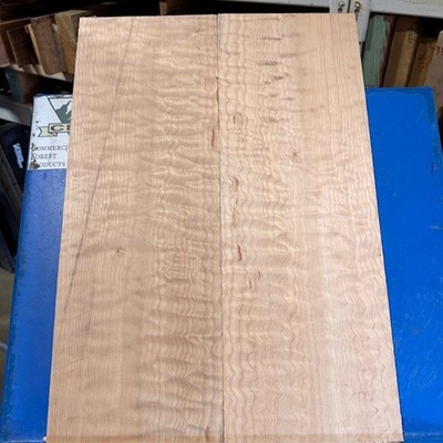 Quilted Maple 1/2'' Quilt DENSE Bookmatch KD Big Leaf 20''x14''x.5'' Fig Carve Top