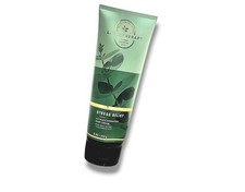 Bath Body Works EUCALYPTUS SPEARMINT Body CREAM 8 OZ