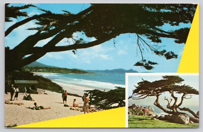 Multi View Carmel By The Sea White Sand Beach Vacationers Monterey Cypress      