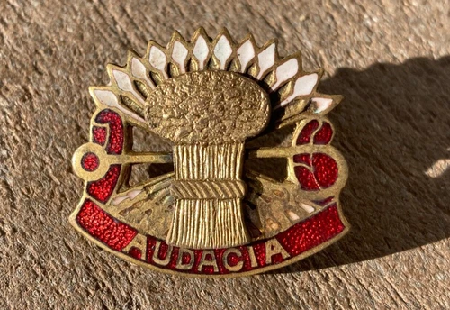 WW2 US Army Military 4th Coast Coastal Artillery Regiment DUI DI Crest pin