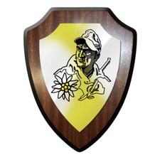 Wappenschild -Gebirgsjäger mit Edelweiss Soldat Abzeichen Souvenir #9684