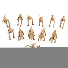 12pcs Dinosaur Toys Fossil Skeleton Simulation Model Action Figure Toy Gift b