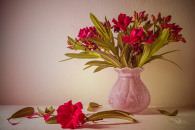 Wandbild: Stilleben mit einem schönen Blumenstrauß (49367952)