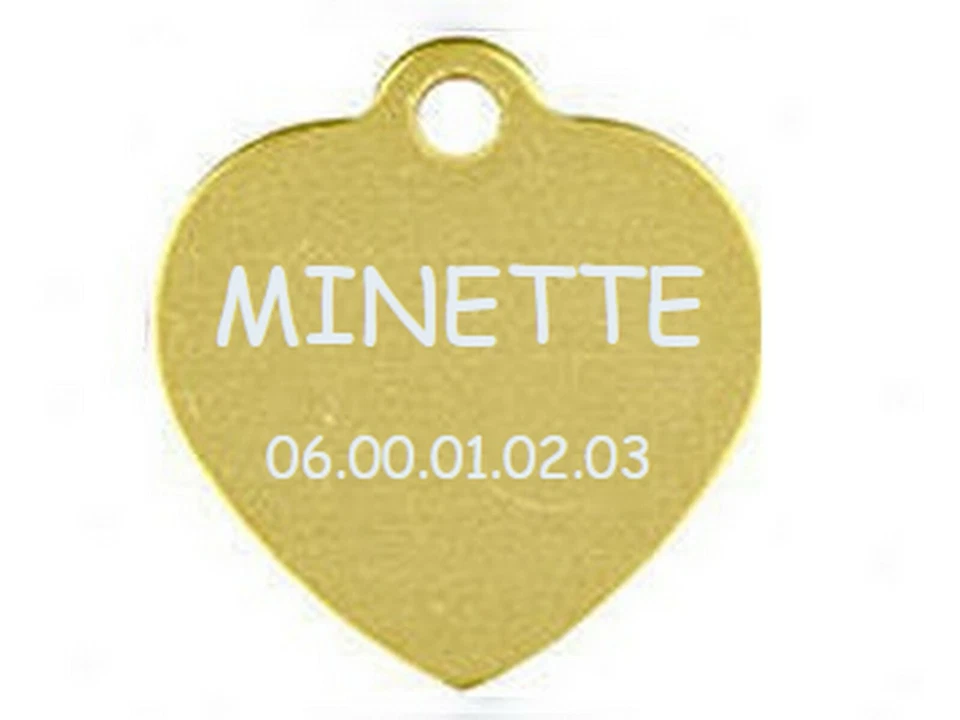 medaille gravee chien ou chat - modele petit coeur - or - Photo 1/1