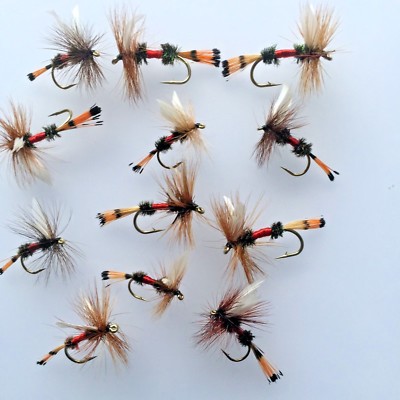 Fliegenfischen Fliegen Auswahl 12X Dry Fly Royal Kutscher Für Forelle #198