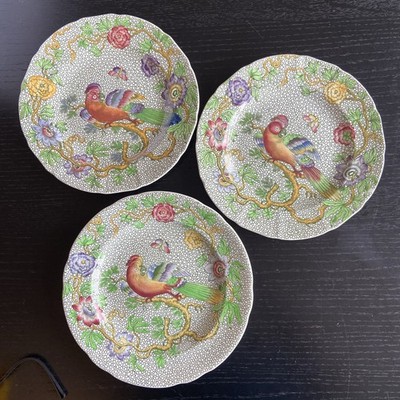 Seltene Copeland Late Spode ästhetische Bewegung Papageienplatten x3 Devonia