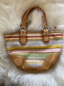 striped purse