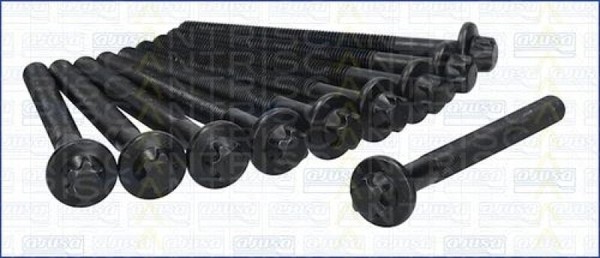 Triscan Zylinderkopfschraubensatz 98-6017-image