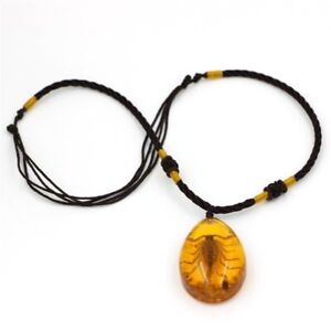 1Pc Fashion Insect Stone Scorpions Inclusion Amber Baltic Pendant Necklace Gift