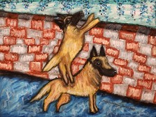 Quadro arte cane moderno BELGIAN MALINOIS Assist originale 9x12 olio pastello