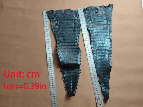 Real Crocodile Skin Hide Alligator Leather Exotic Pelt Craft DIY Material Strap - Picture 9 of 17